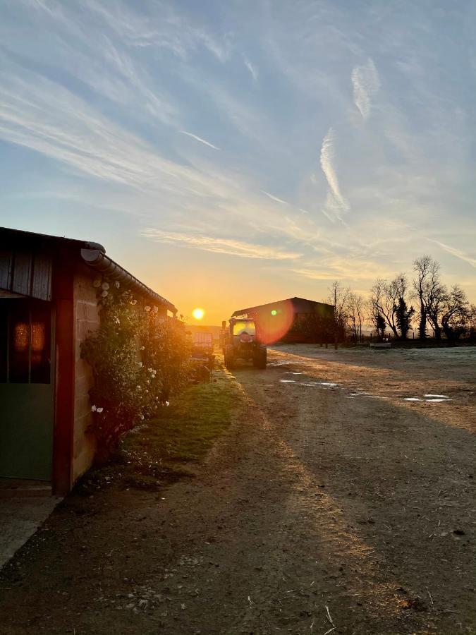 Chambre A La Ferme Precy-le-Sec Bagian luar foto