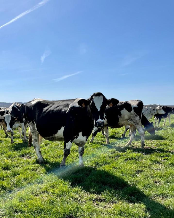 Chambre A La Ferme Precy-le-Sec Bagian luar foto